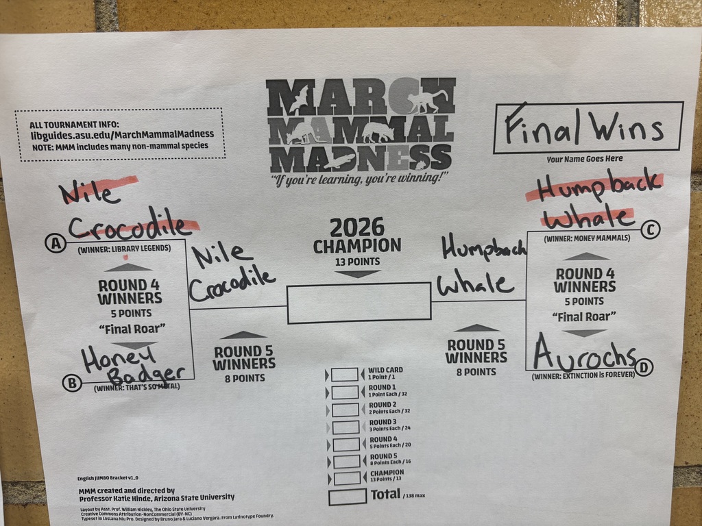 Bracket that shows the Final Four and who the final battle will be with