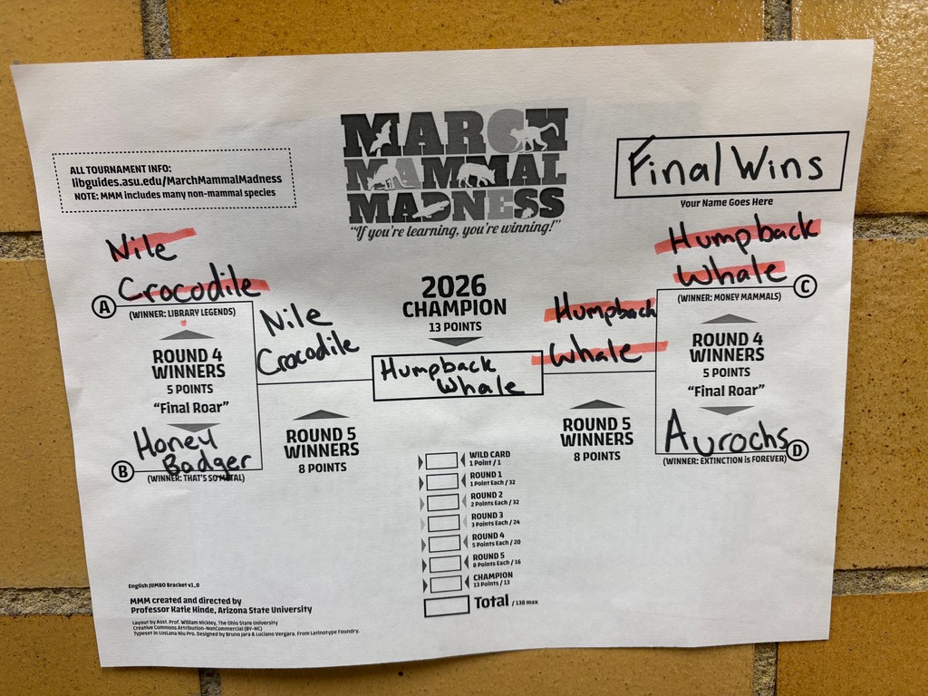 Bracket showing the championship winner