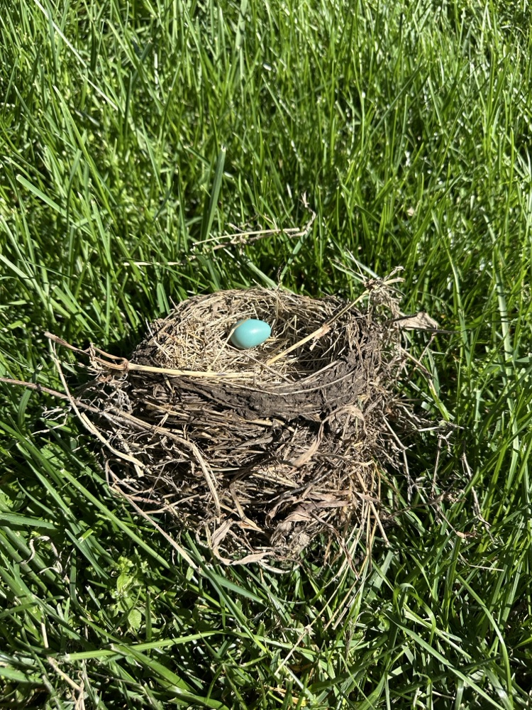 Egg Hunt at Dupo High School - Not all the eggs were plastic!