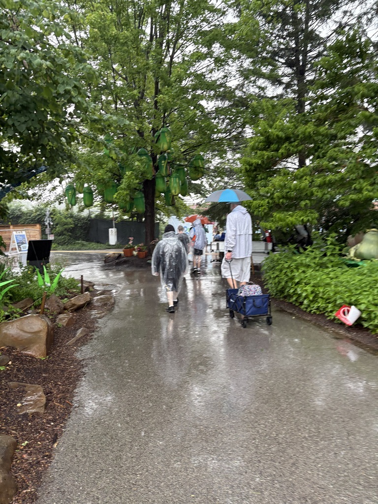 Students and Mr. G walking in the rain