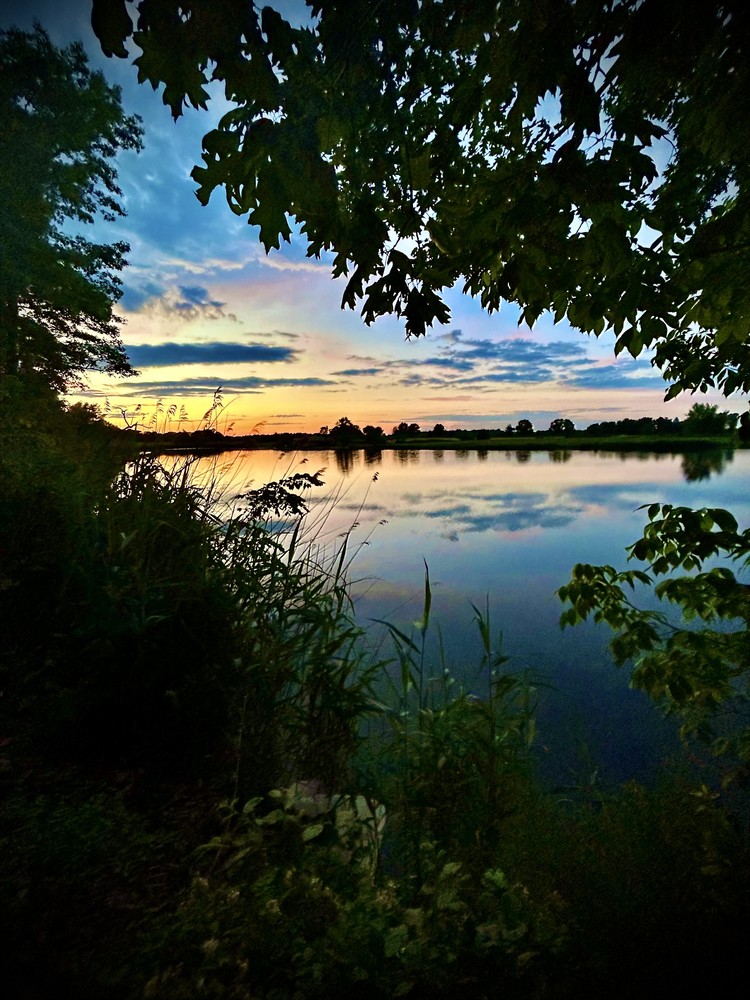 DMS Photography Winner