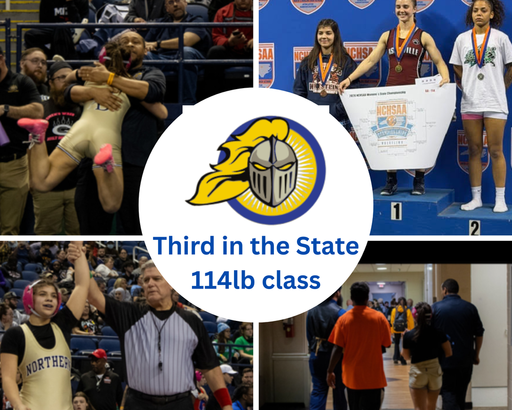 A collage of Photographs celebrating  Adriana Gruner Mattei's  finishing 3rd in the state at the 114lb weight class in wrestling.