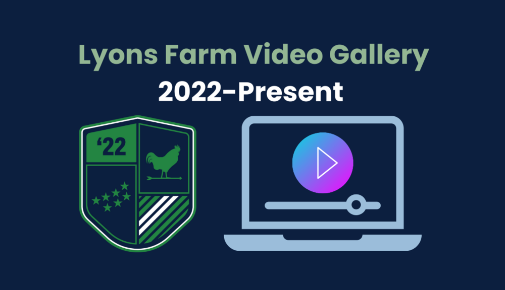 Video Gallery