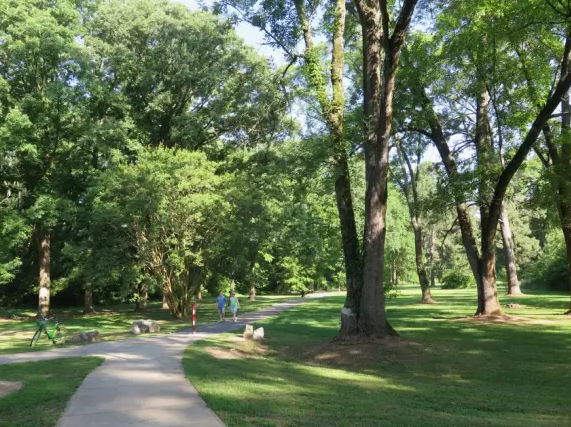 kids walking through park