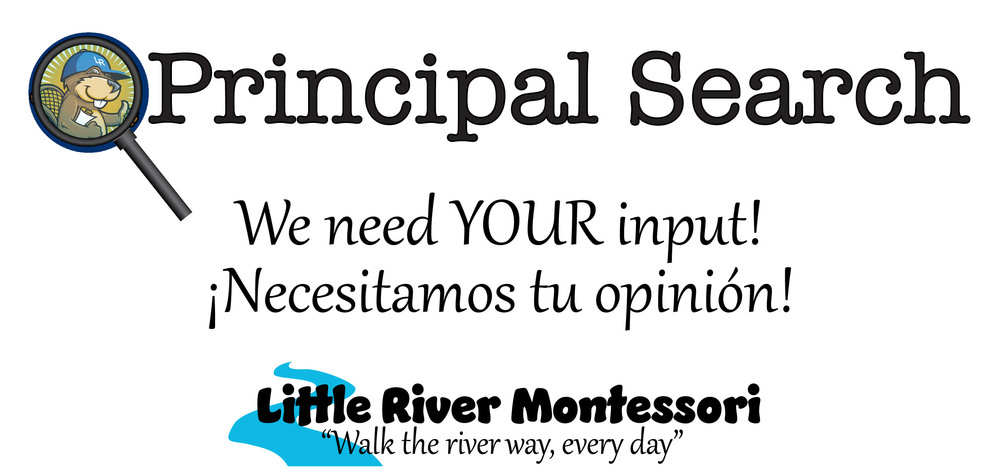 Principal Search/Búsqueda principal