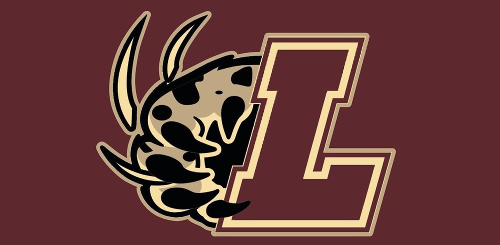 Lucas Montessori Community- Creativity-Leadership