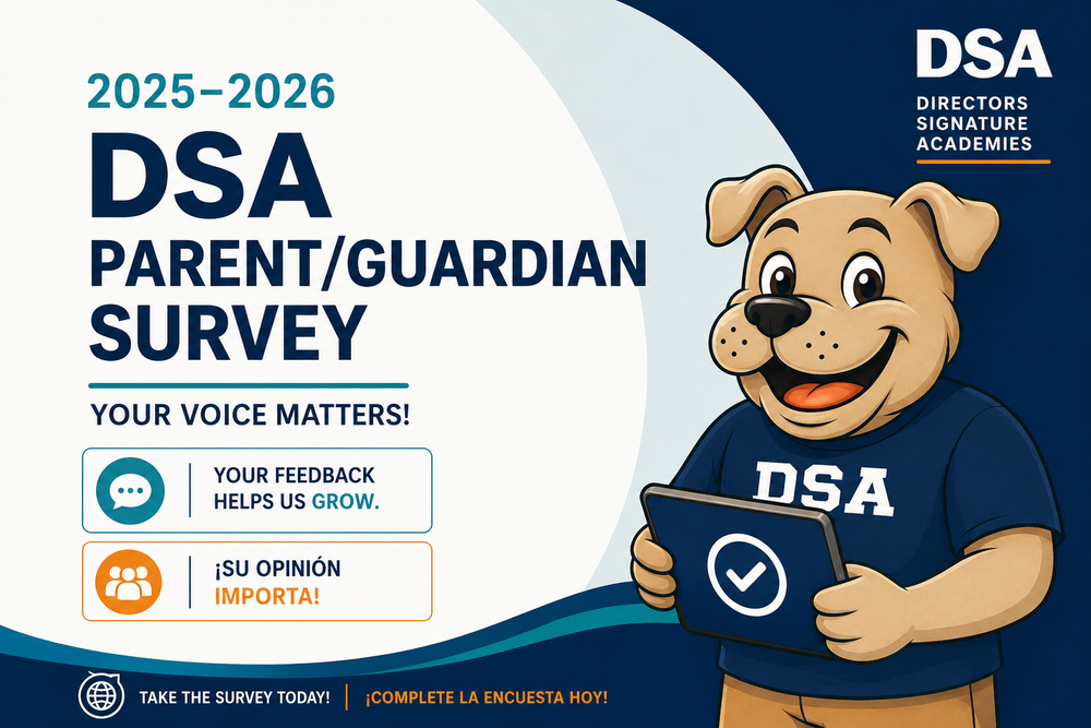 DSA Survey