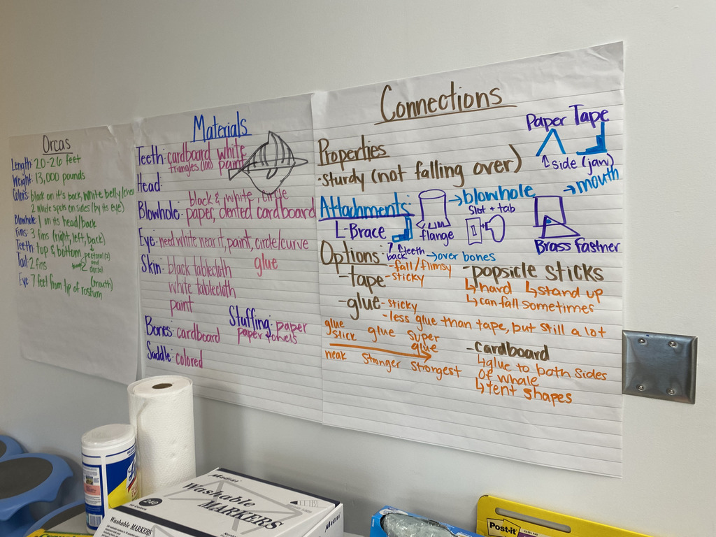 STEM by Design