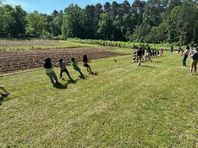 Tug of War
