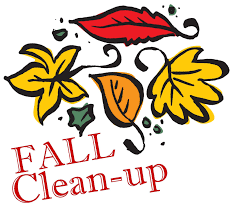Fall Clean Up