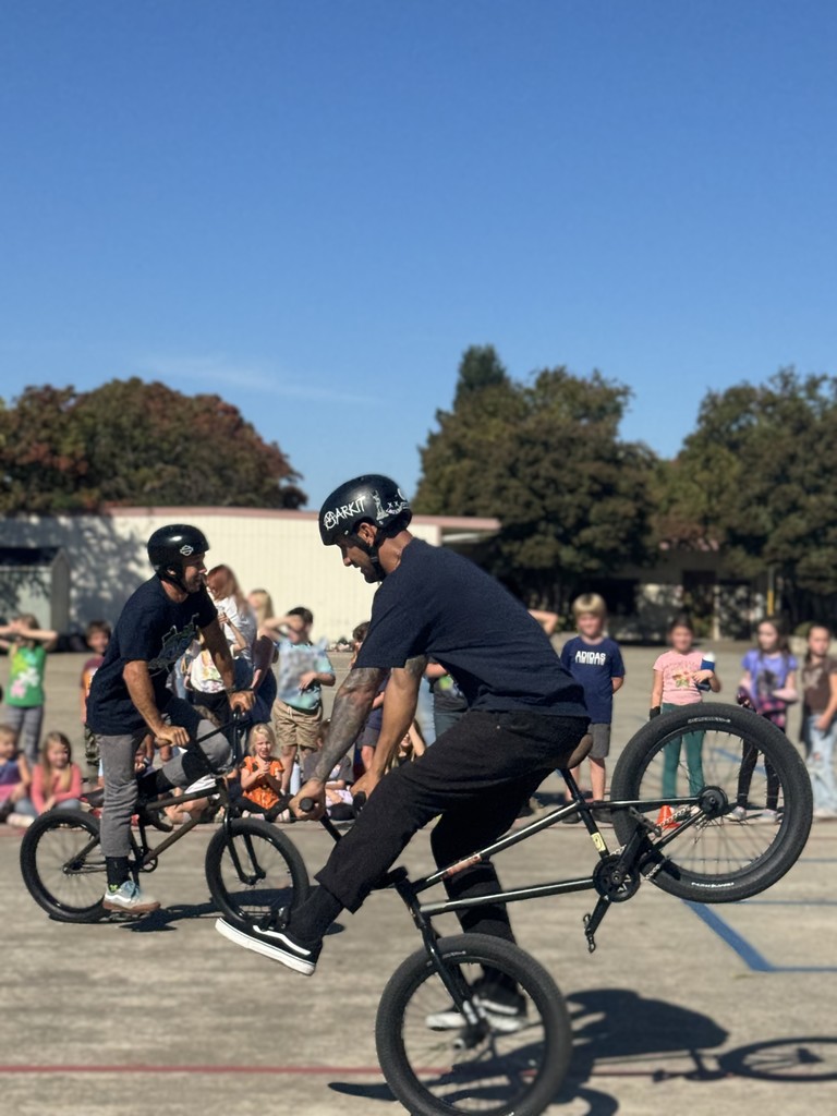 bmx
