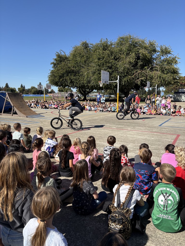 bmx