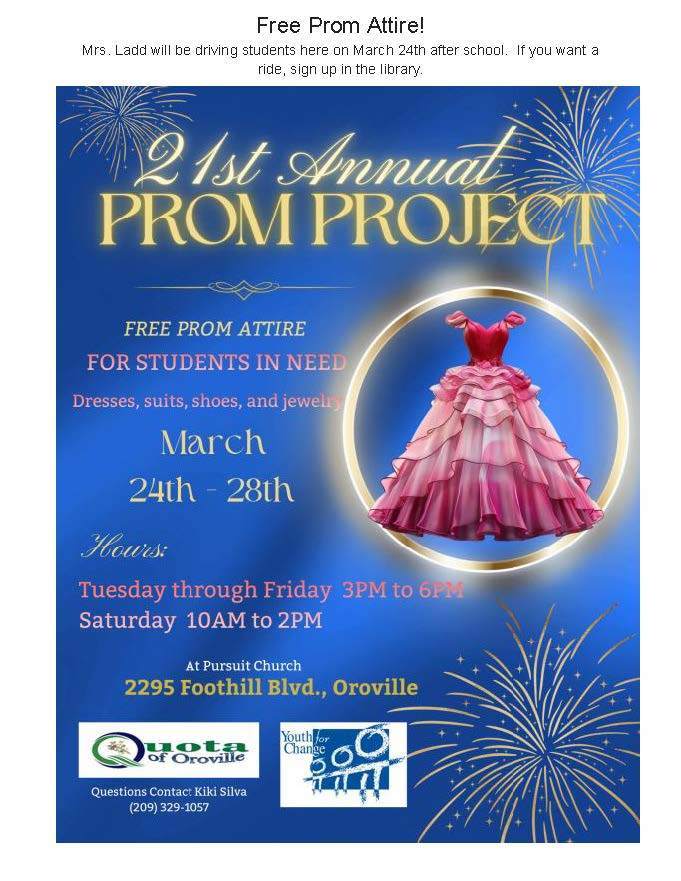 Prom Project Flyer