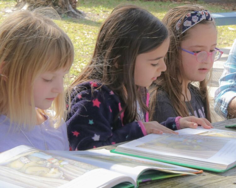 Group of students reading