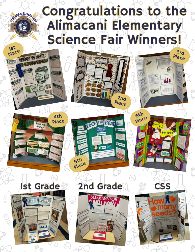Science Fair Project Winners