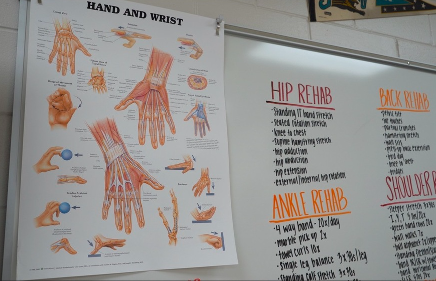 A whiteboard with muscle rehab routines written out in dry erase market, next to a diagram of the hand and wrist muscles.