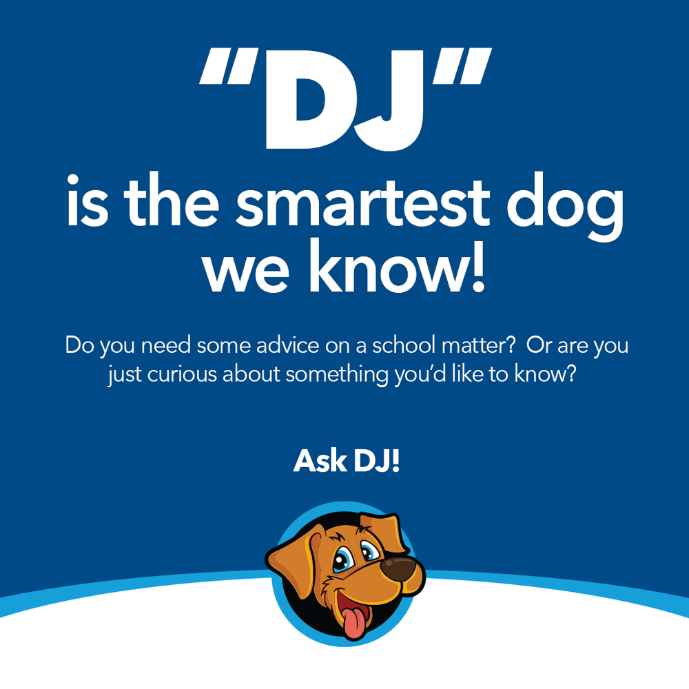 Advertisement for a dog named DJ