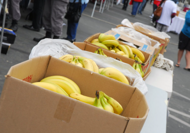 Image of bananas in boxes lined up on  tables
