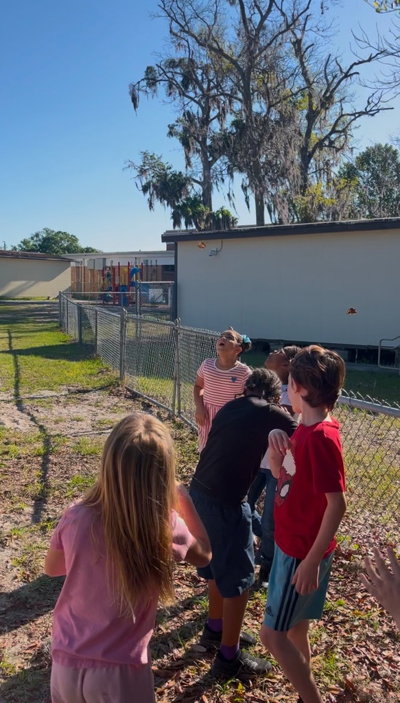 The students are releasing the butterflies into the wild!
