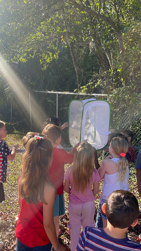 The children carefully letting the butterflies free. 