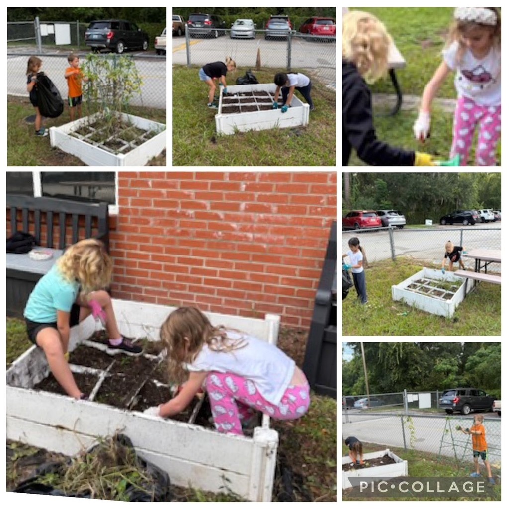 2nd graders begin cleaning up the garden