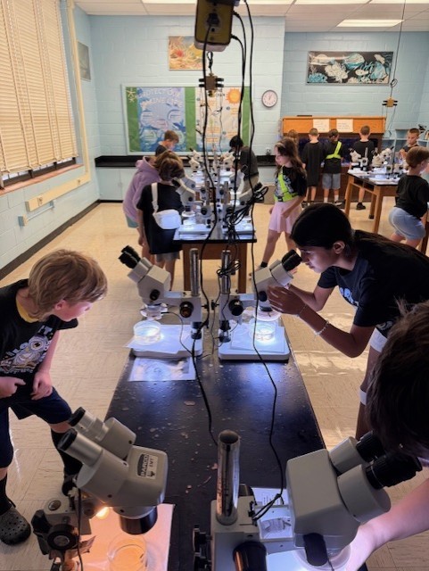 5th grade visited the Marine Science Center