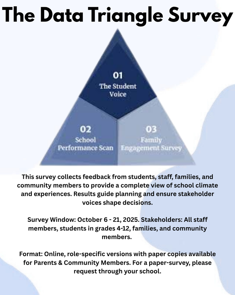 The Data Triangle Survey flyer