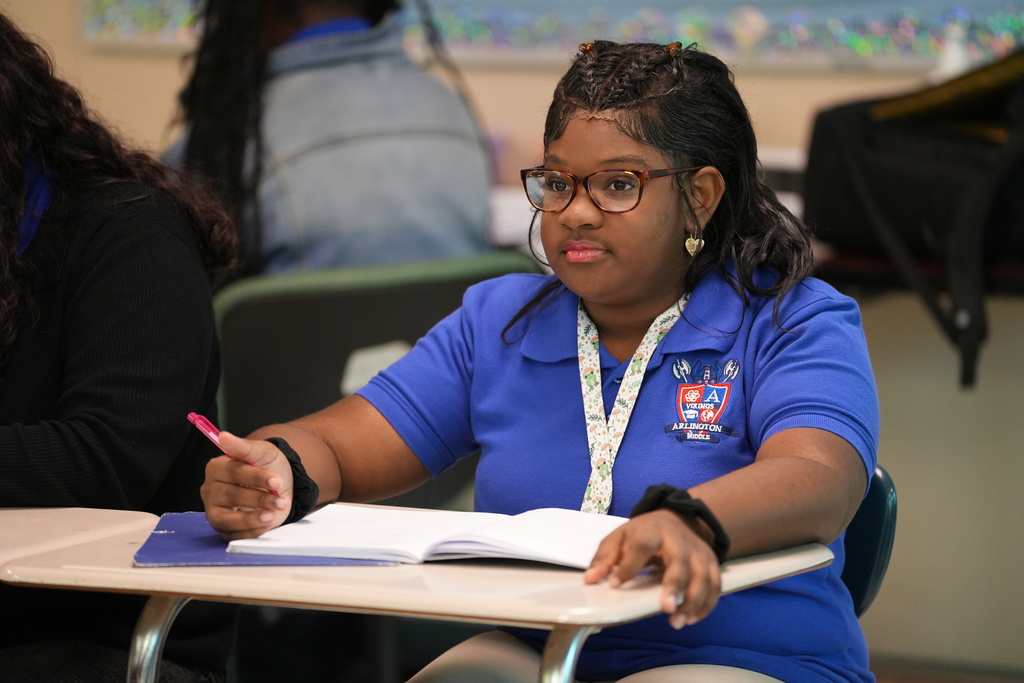 Student learning in Civic Class
