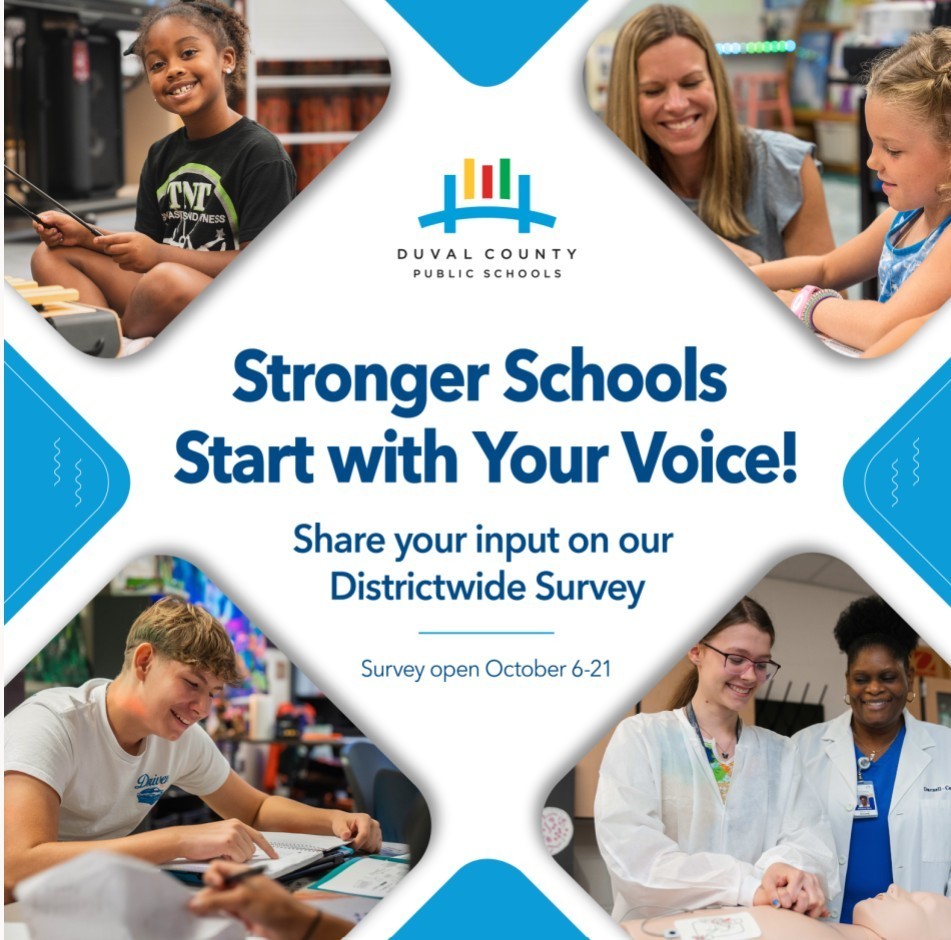Traingle District Survey