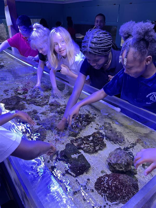 Students touching sea stars