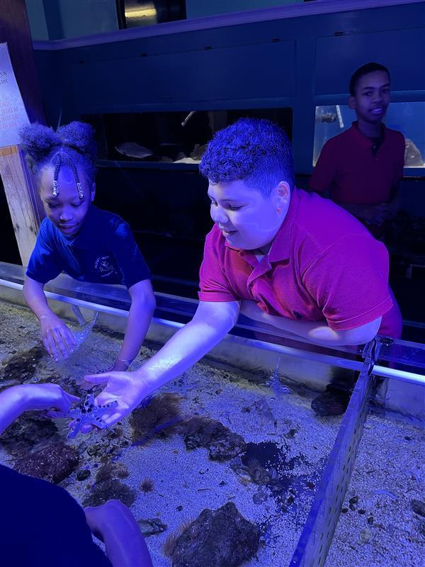 Student holding sea star
