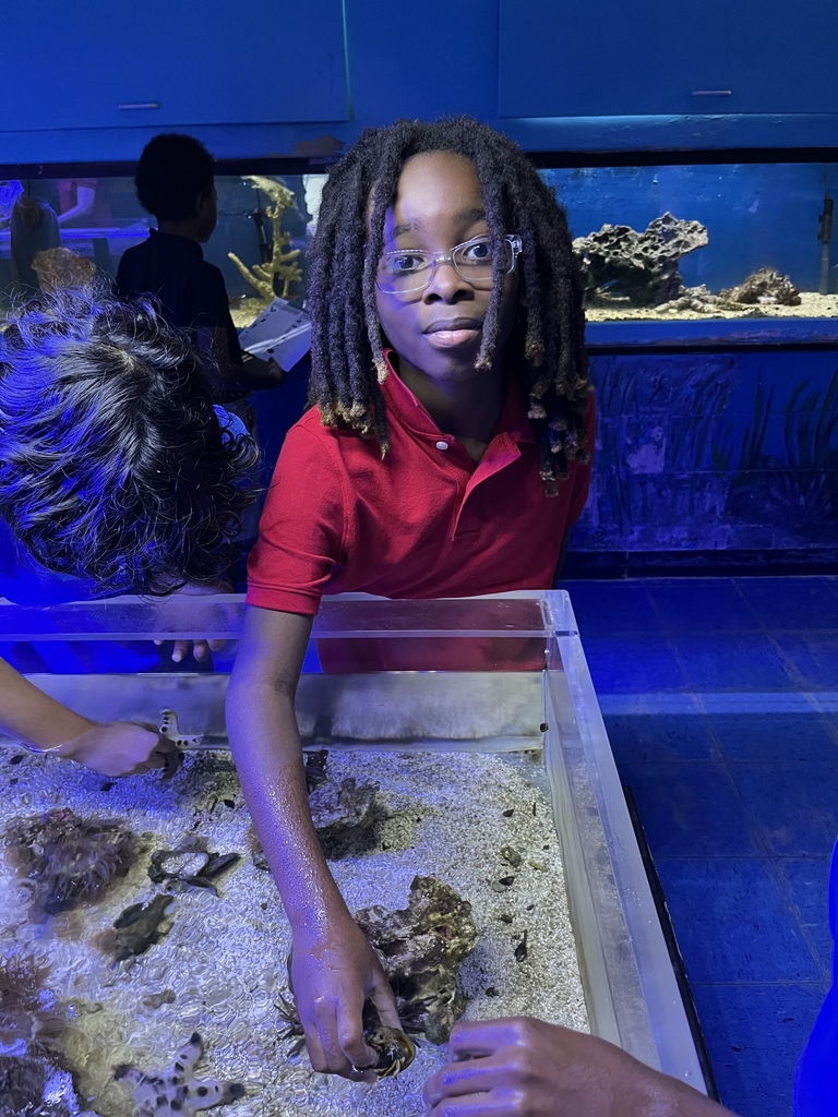 Students with hand in tank