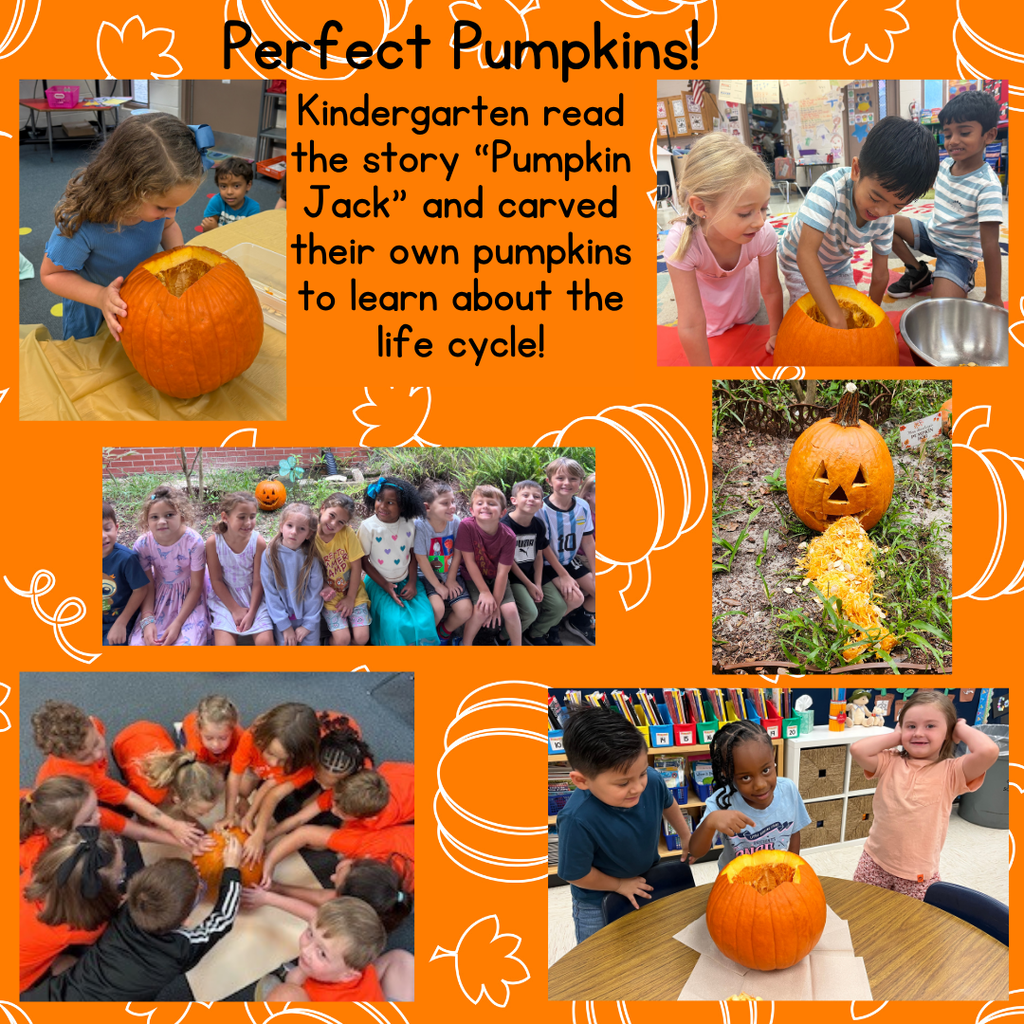 Kindergarten learns about the pumpkin life cycle.