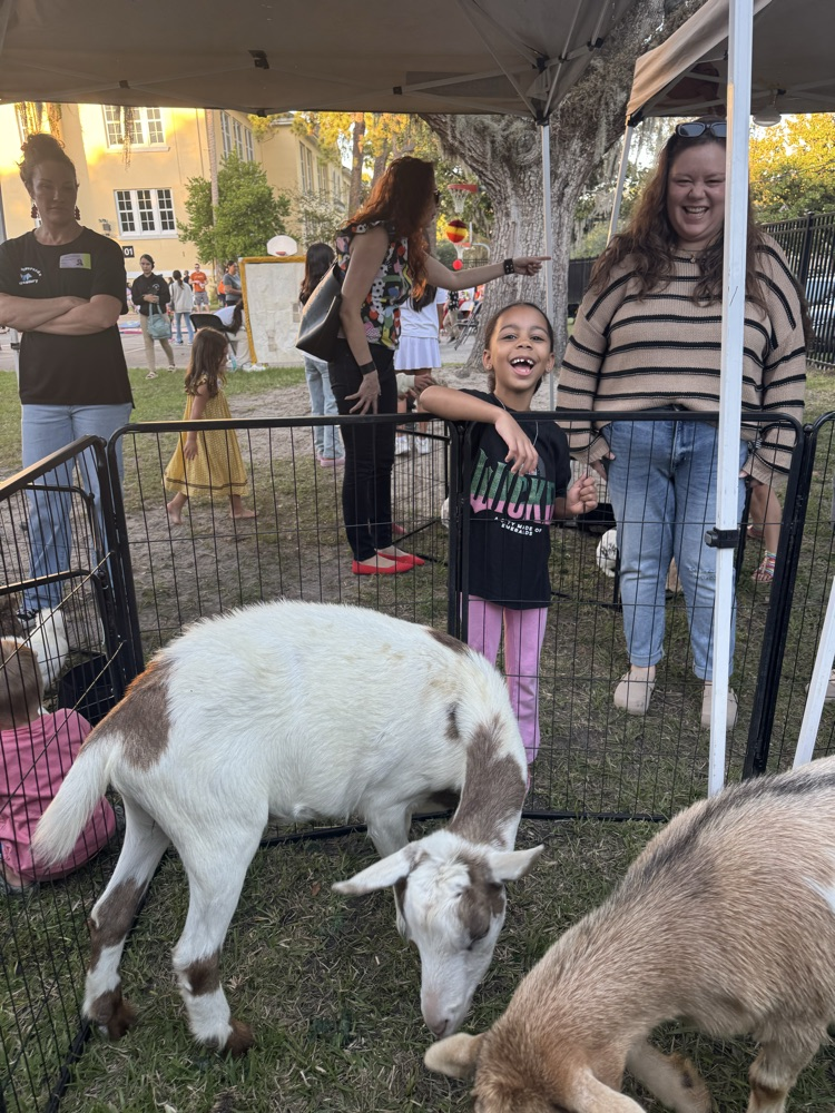 petting zoo