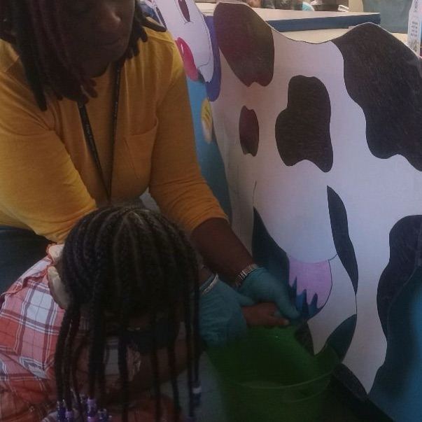 Student learning to milk a cow.