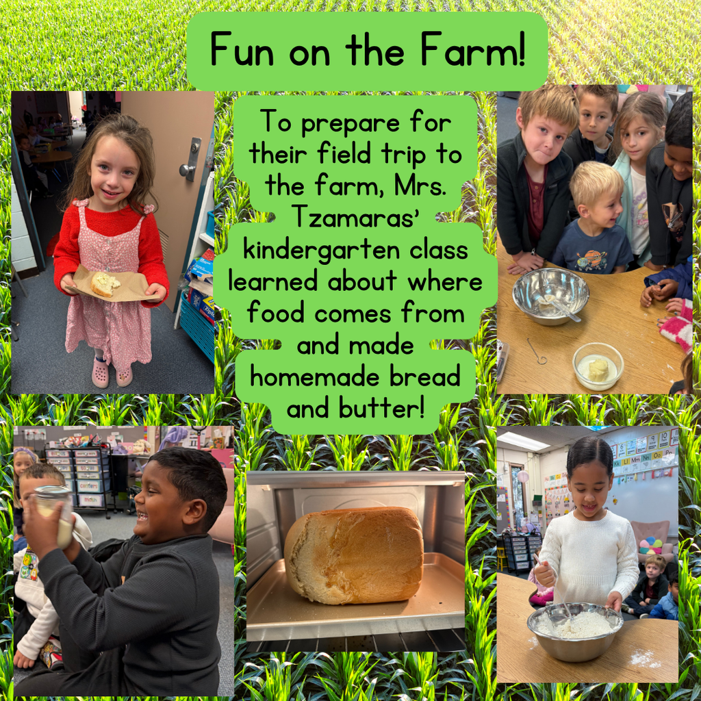 Kindergarten learns about making food on the farm.