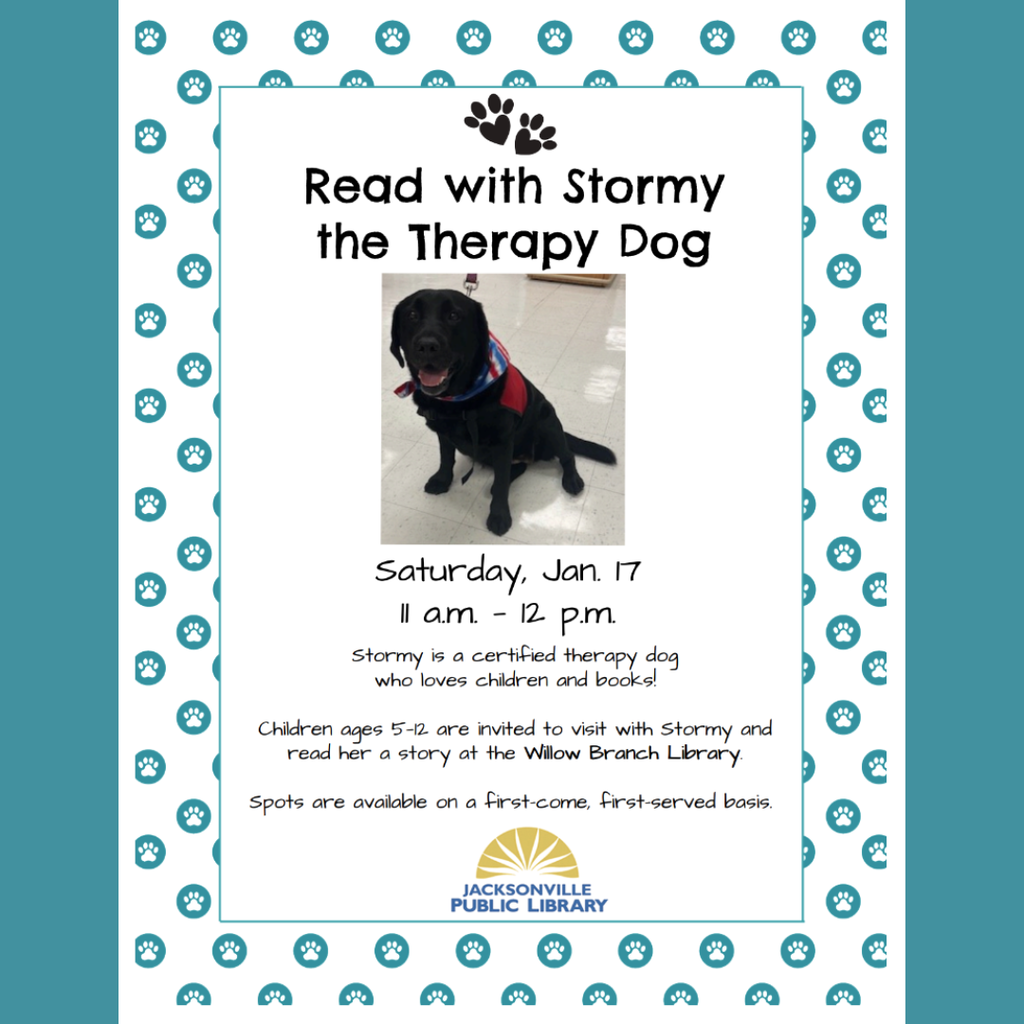 Stormy Willow Branch Event