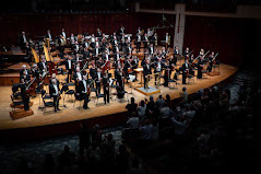 picture of a symphony