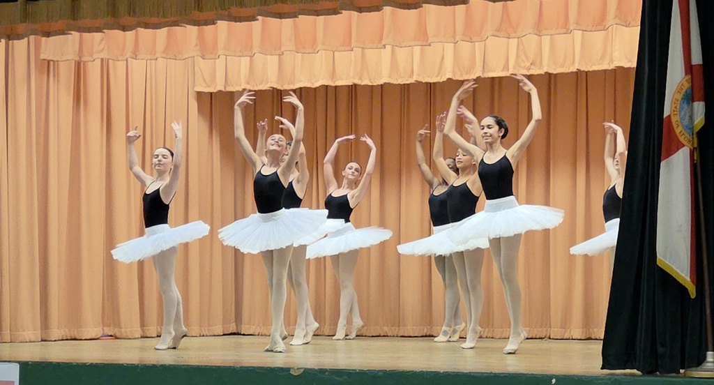 classical ballet in practice tutus