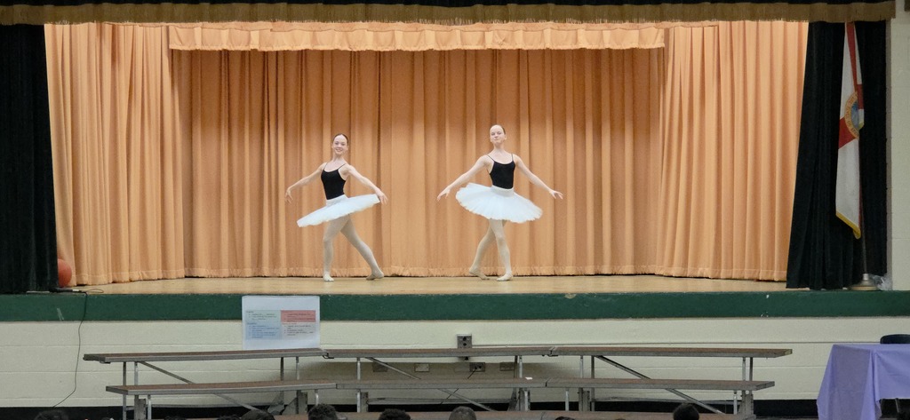 classical ballet duet