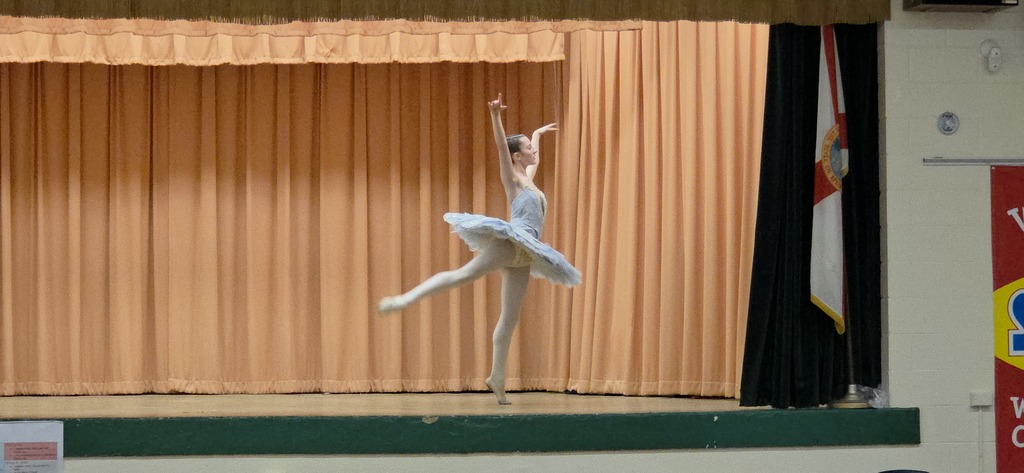 solo classical ballet in full costume