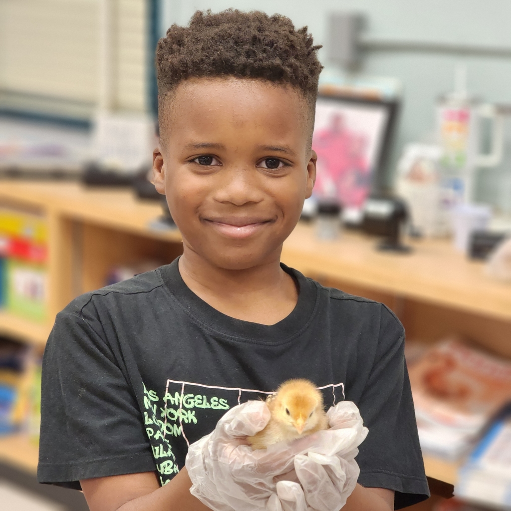 boy holding chicken 