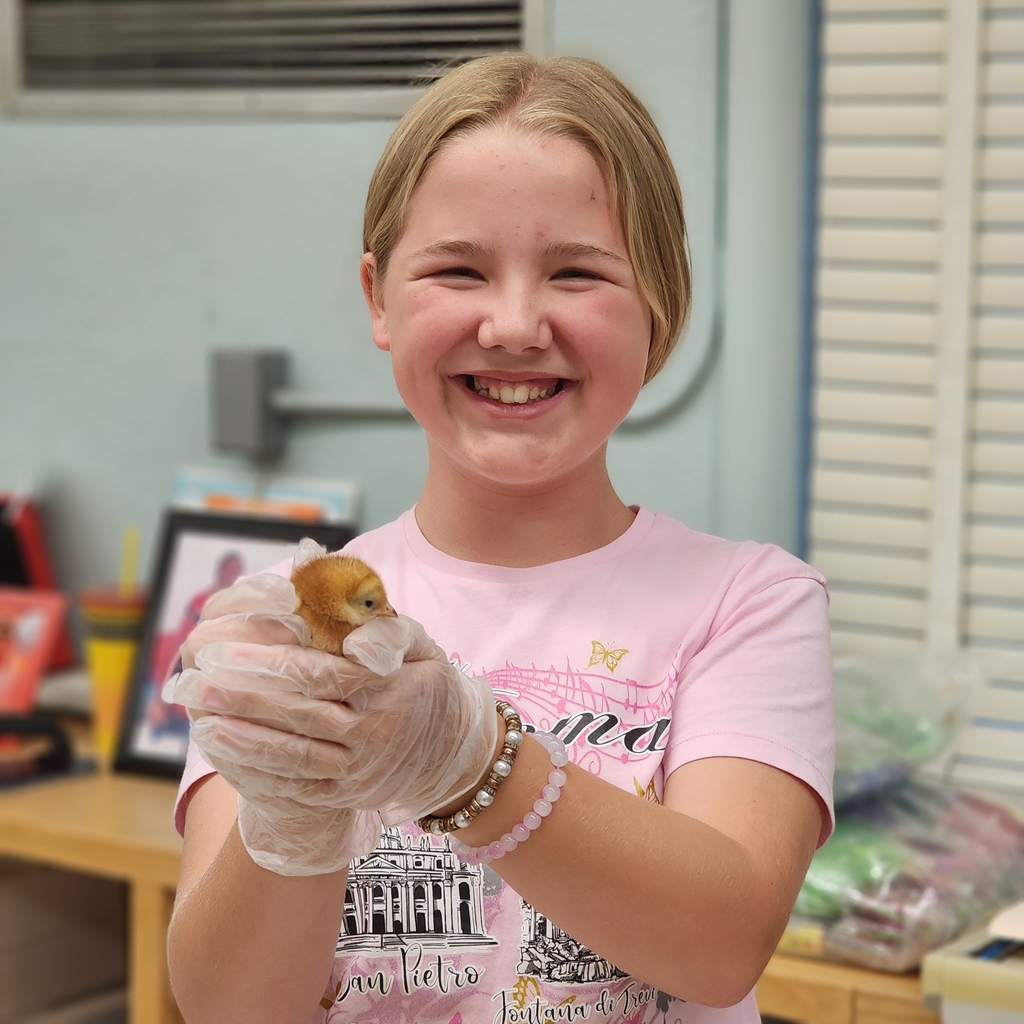 girl holding chicken 