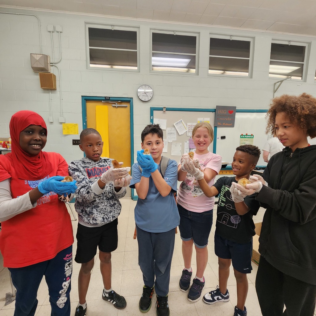 students holding chicken 
