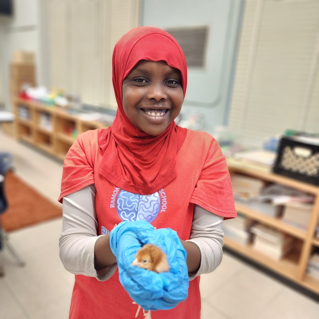 girl holding chicken 