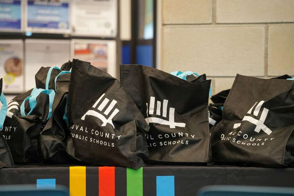 Bags with logos for "Aval County Public Schools" are displayed on a multicolored surface.