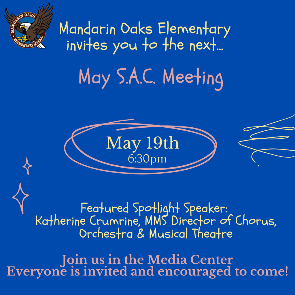 Sac flyer