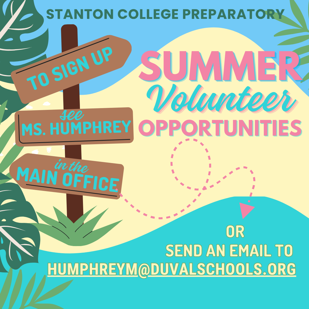 Summer Volunteer