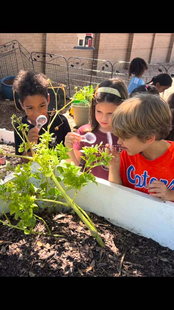 Three children in a garden examine plants using magnifying glasses. One child holds a plant.