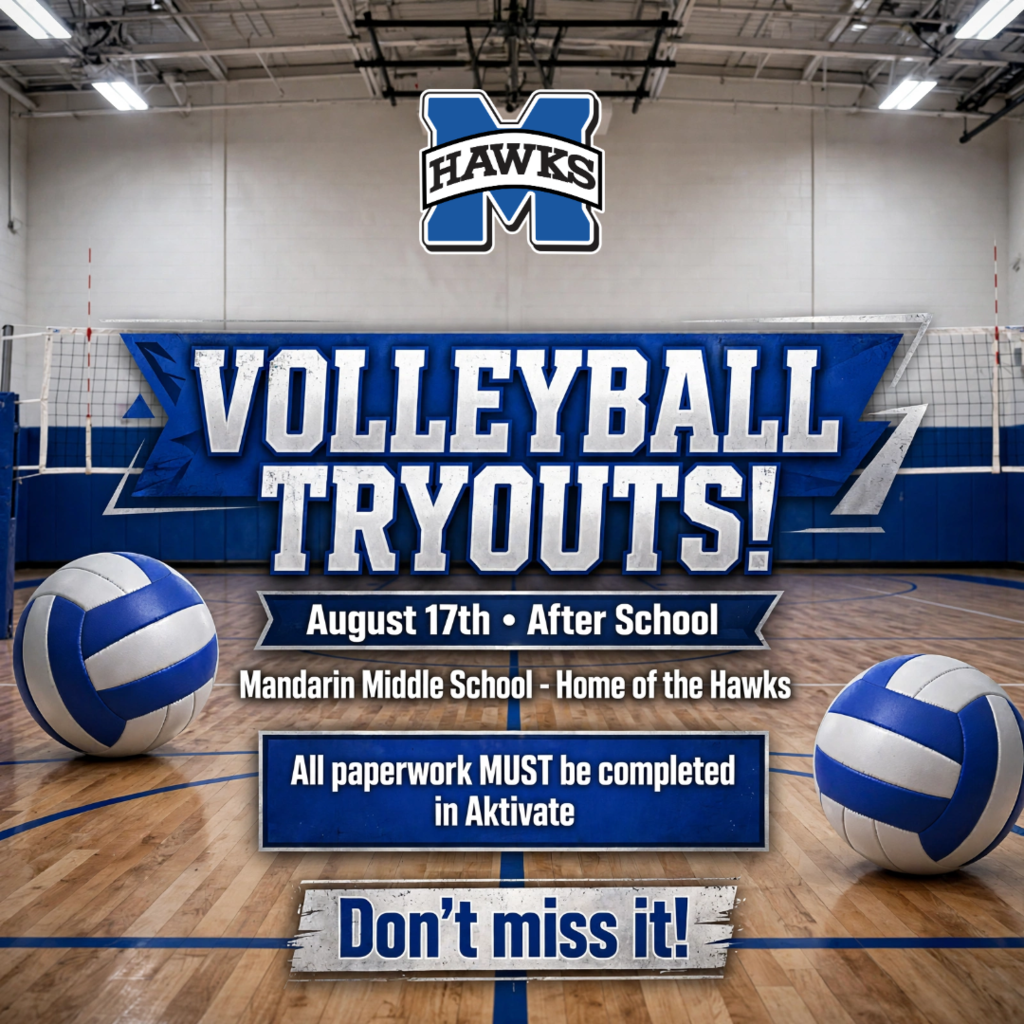 Indoor volleyball court with blue lines and two blue and white volleyballs. A Hawks logo is on the top.